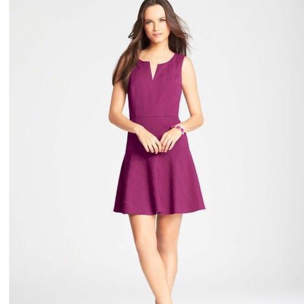 Ann Taylor | Flirty drop waist dress